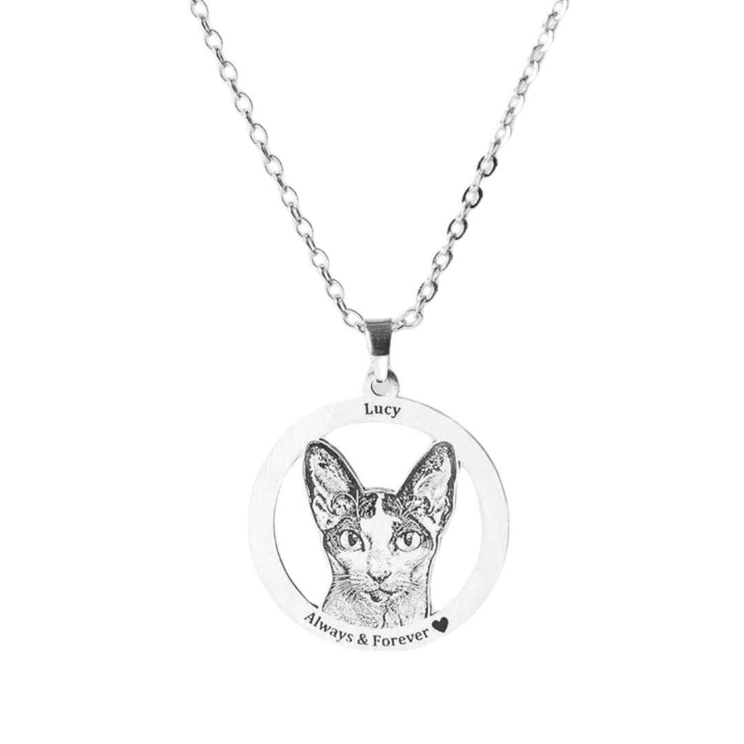 Colar Personalizado Pet Royal-Cat Life