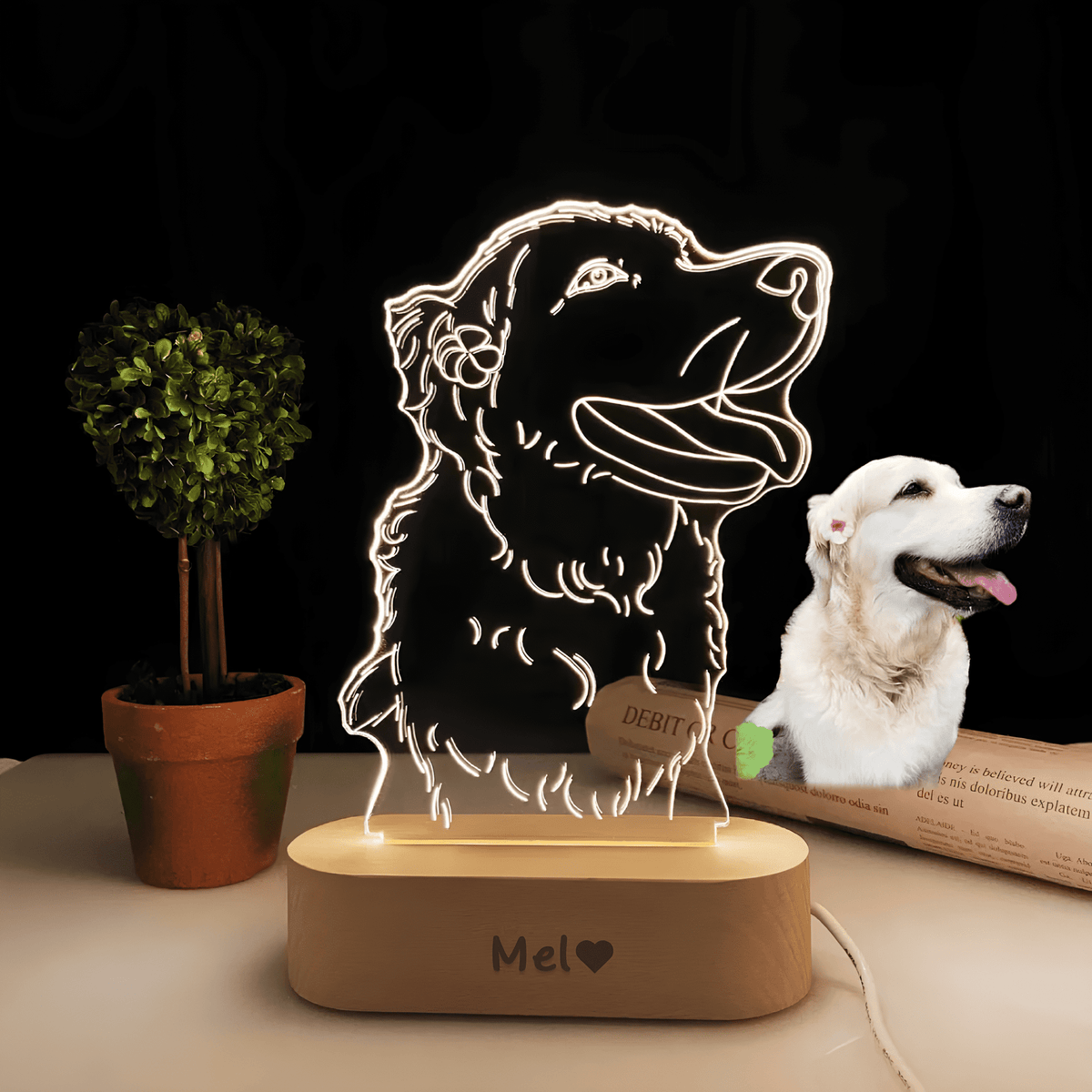 Luminária 3D Personalizada Pet Royal