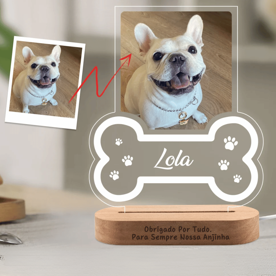 Porta-Retrato Personalizada Pet com LED