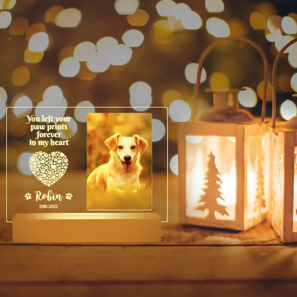 Retrato Memorial Com LED Pet Royal