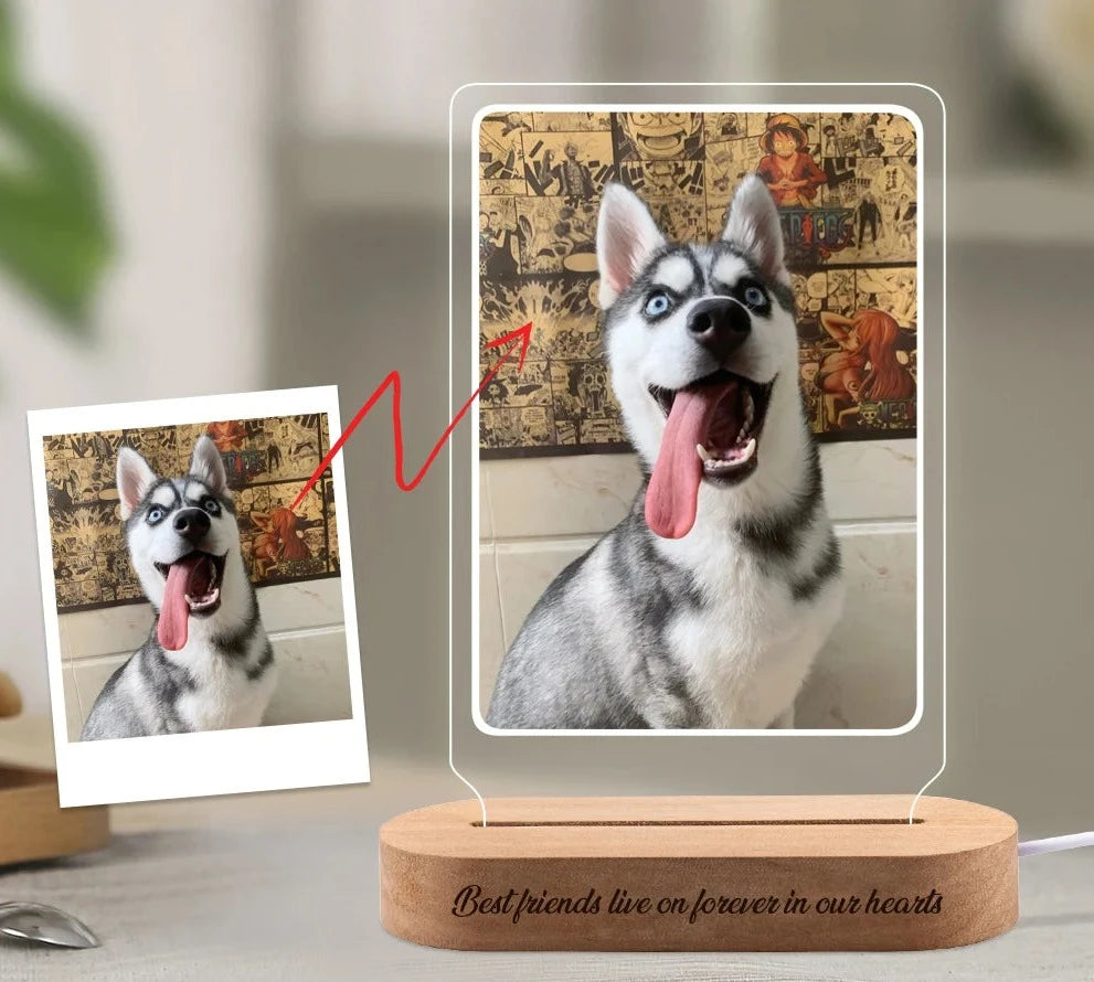 Porta-Retrato Personalizada Pet com LED